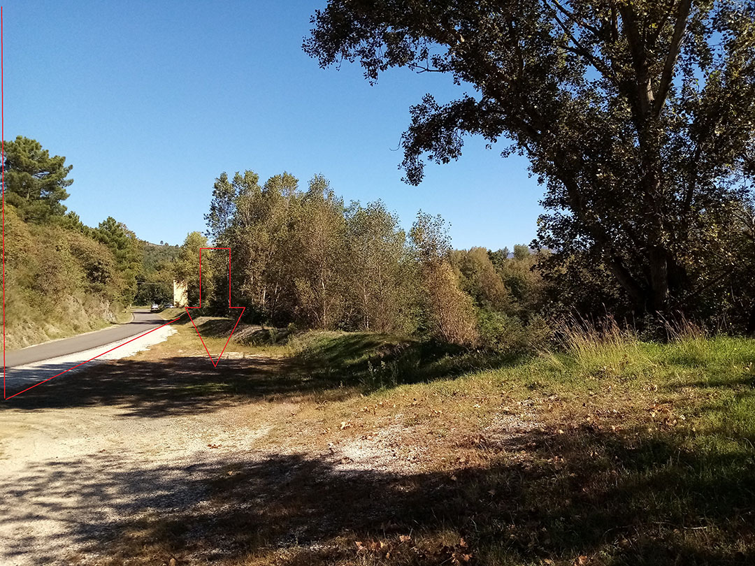 imagealt
